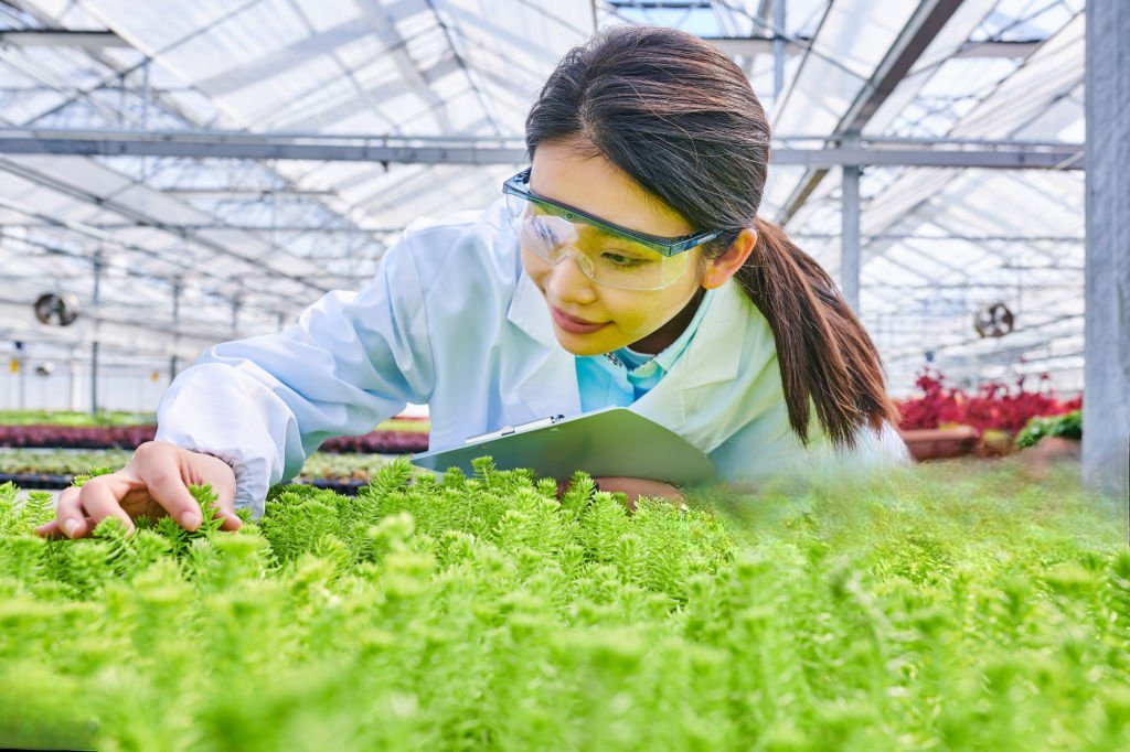 Agriculture